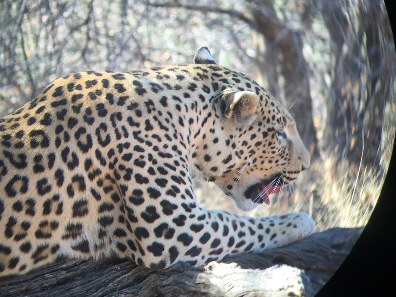 [9106] 2016_06_23_15_24_41_Africa_iPhone_6_IMG_7842_00428.jpg