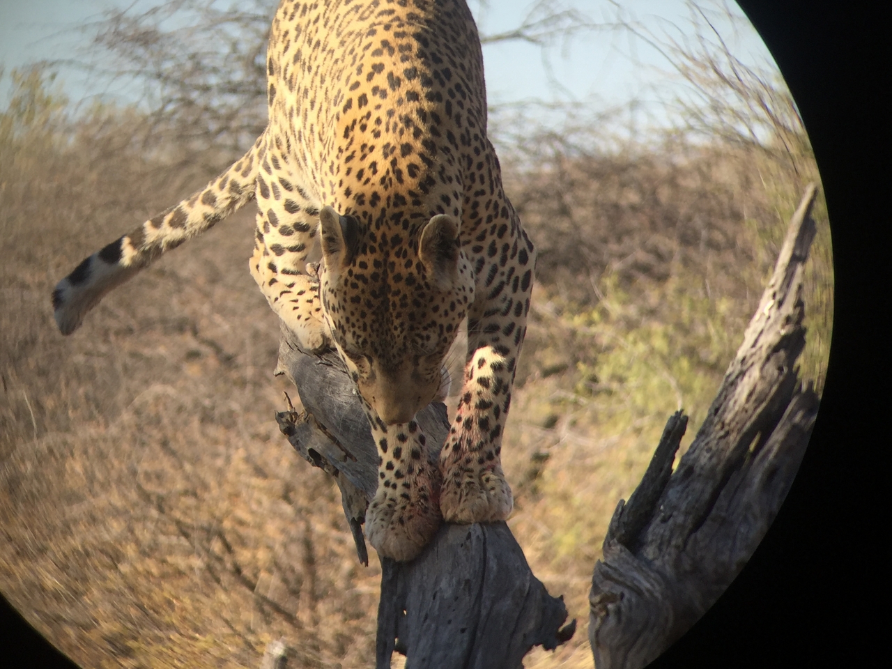 [9137] 2016_06_23_15_26_09_Africa_iPhone_6_IMG_7858_02784.jpg