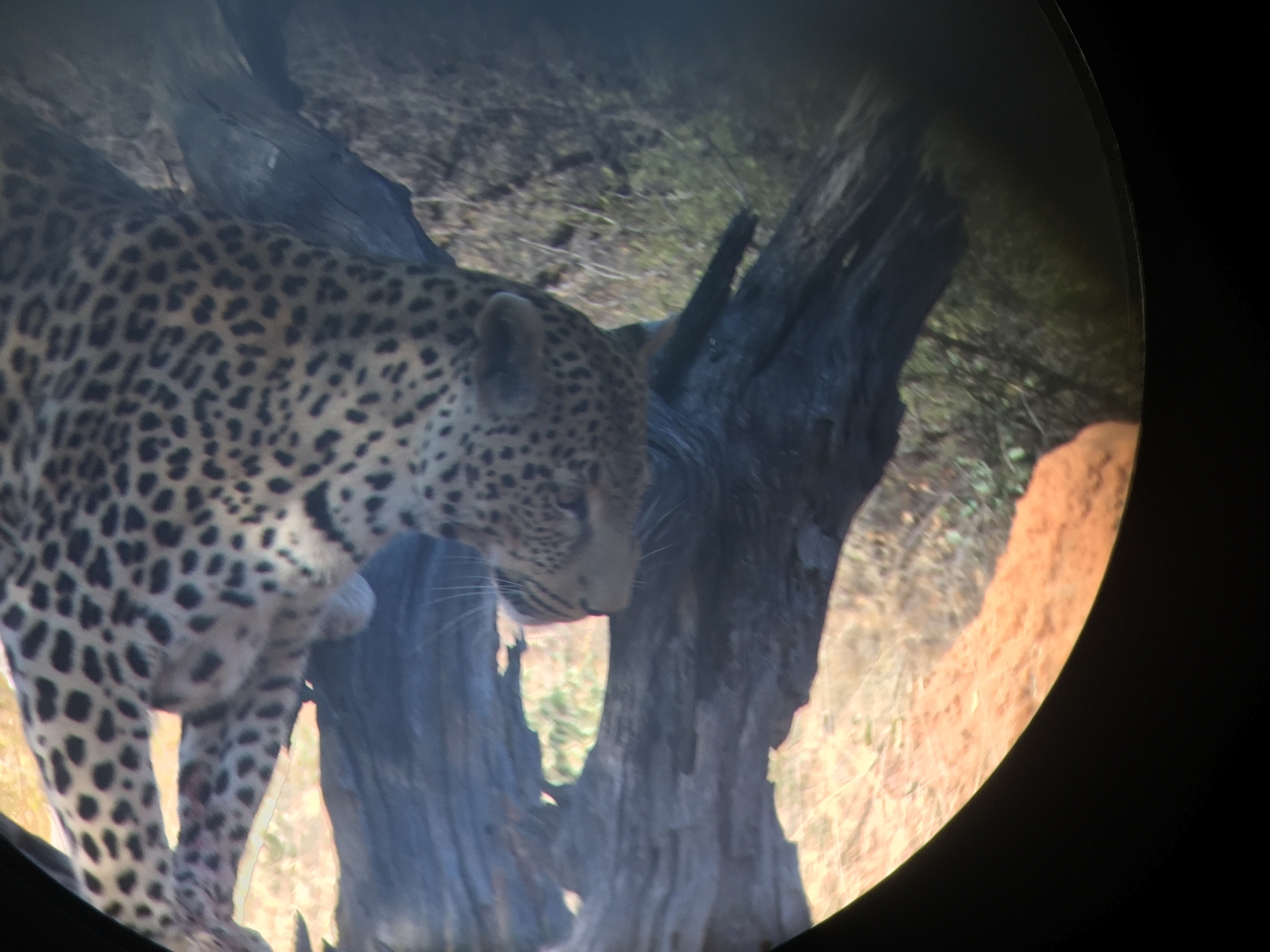 [9142] 2016_06_23_15_26_14_Africa_iPhone_6_IMG_7861_00446.jpg