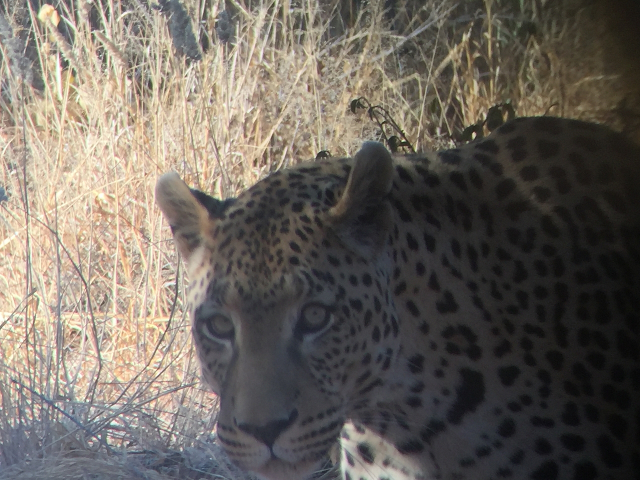 [9147] 2016_06_23_15_26_24_Africa_iPhone_6_IMG_7863_02789.jpg