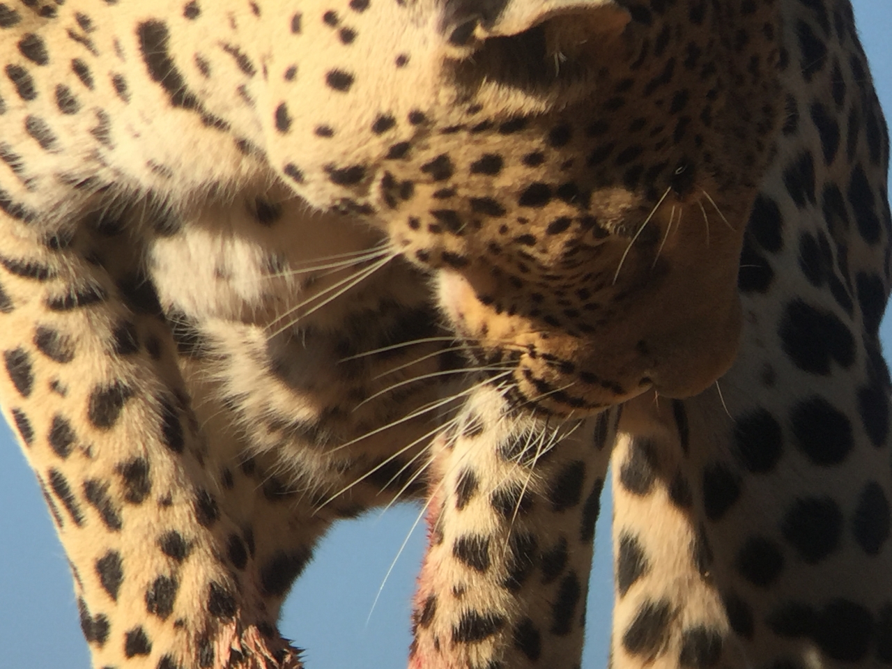 [9162] 2016_06_23_15_26_49_Africa_iPhone_6_IMG_7871_00456.jpg