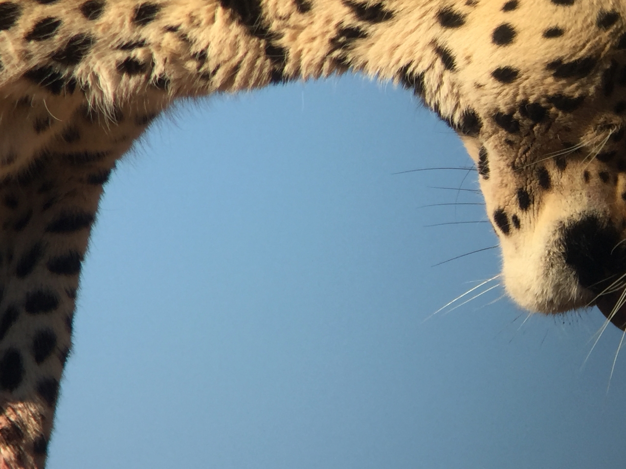 [9165] 2016_06_23_15_26_51_Africa_iPhone_6_IMG_7872_02798.jpg