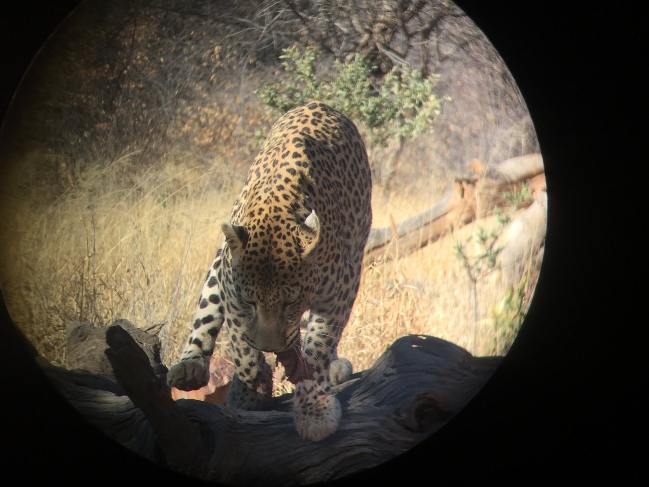 [9168] 2016_06_23_15_27_19_Africa_iPhone_6_IMG_7874_00459.jpg