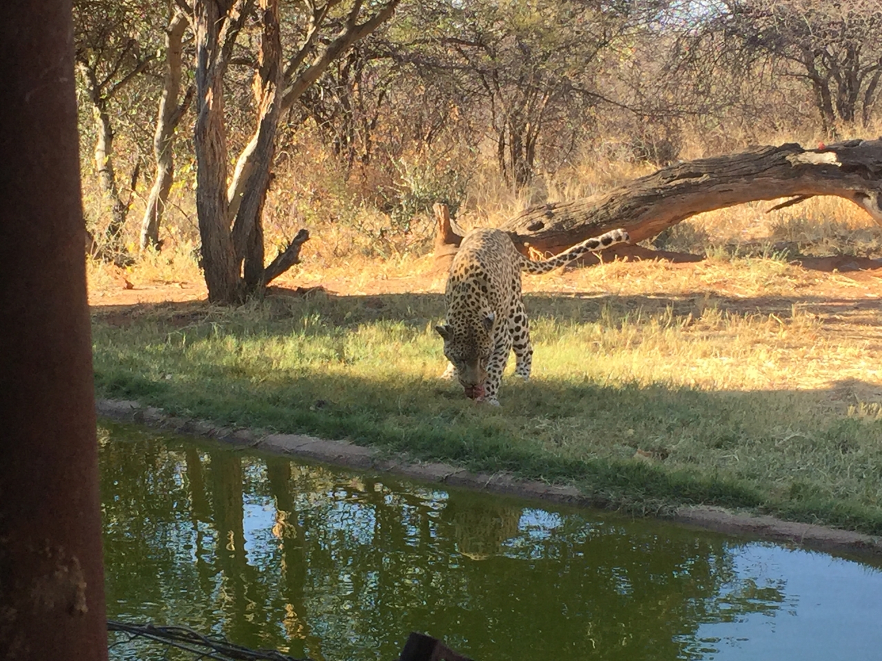 [9171] 2016_06_23_15_27_36_Africa_iPhone_6_IMG_7875_02801.jpg
