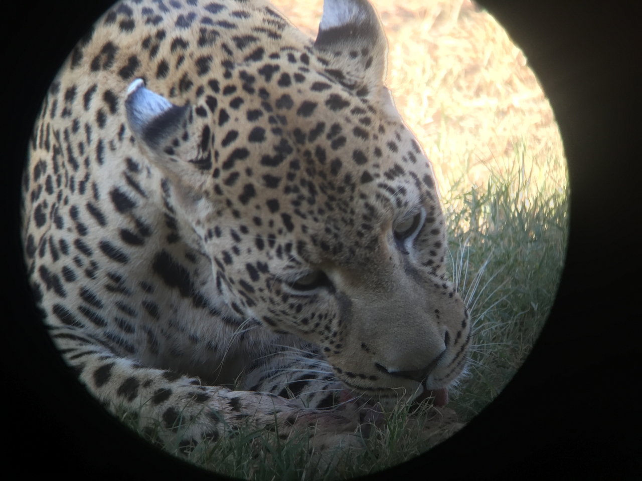 [9177] 2016_06_23_15_28_11_Africa_iPhone_6_IMG_7878_02804.jpg