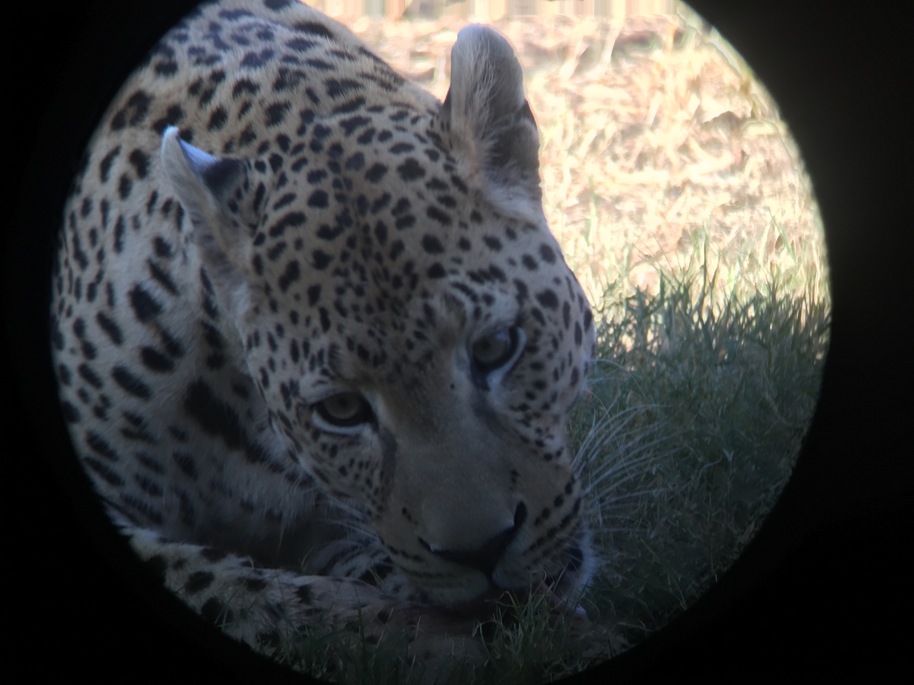 [9178] 2016_06_23_15_28_13_Africa_iPhone_6_IMG_7879_00464.jpg