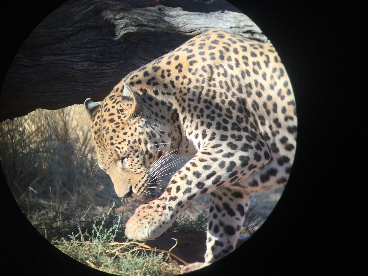 [9185] 2016_06_23_15_29_49_Africa_iPhone_6_IMG_7882_02808.jpg