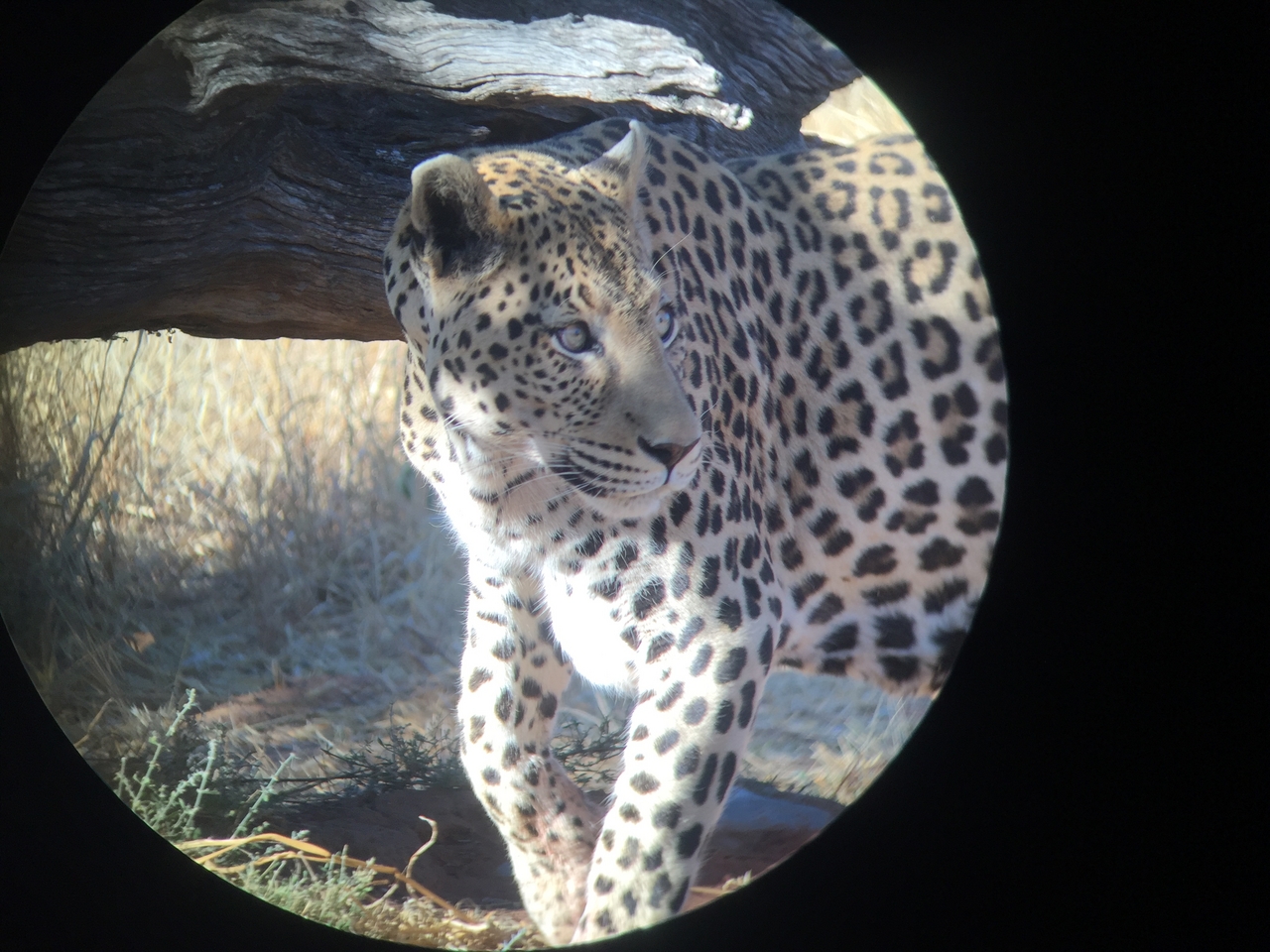 [9189] 2016_06_23_15_29_51_Africa_iPhone_6_IMG_7884_02810.jpg