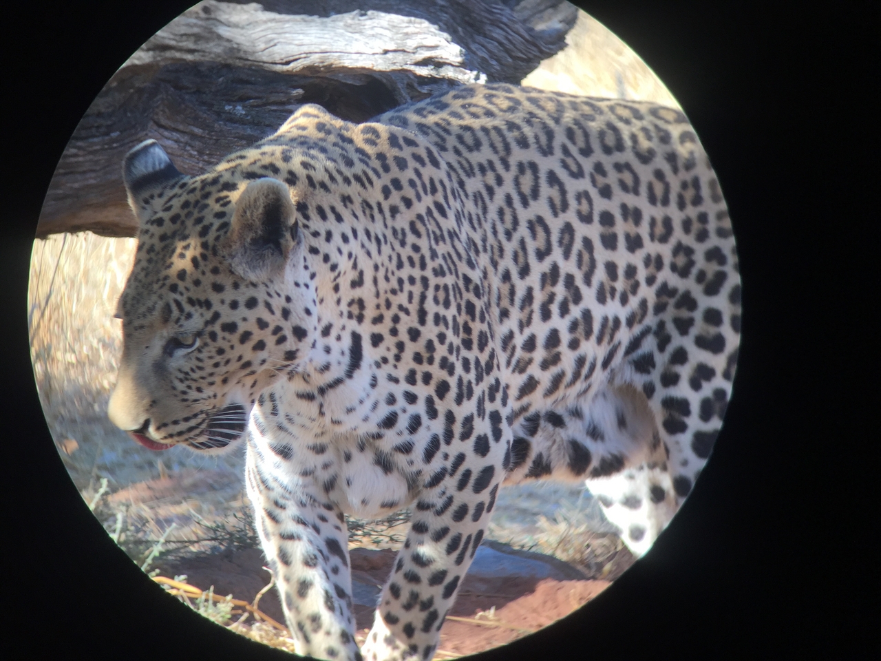 [9192] 2016_06_23_15_29_56_Africa_iPhone_6_IMG_7886_00471.jpg