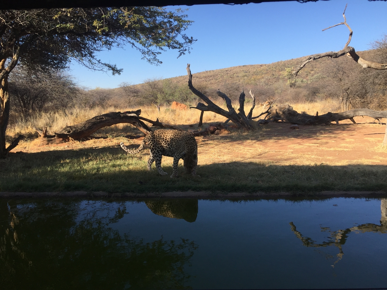 [9204] 2016_06_23_15_30_13_Africa_iPhone_6_IMG_7892_00477.jpg
