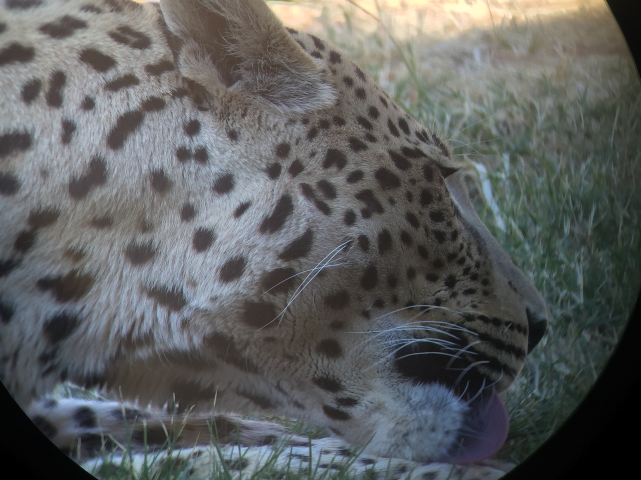 [9218] 2016_06_23_15_31_13_Africa_iPhone_6_IMG_7899_00484.jpg