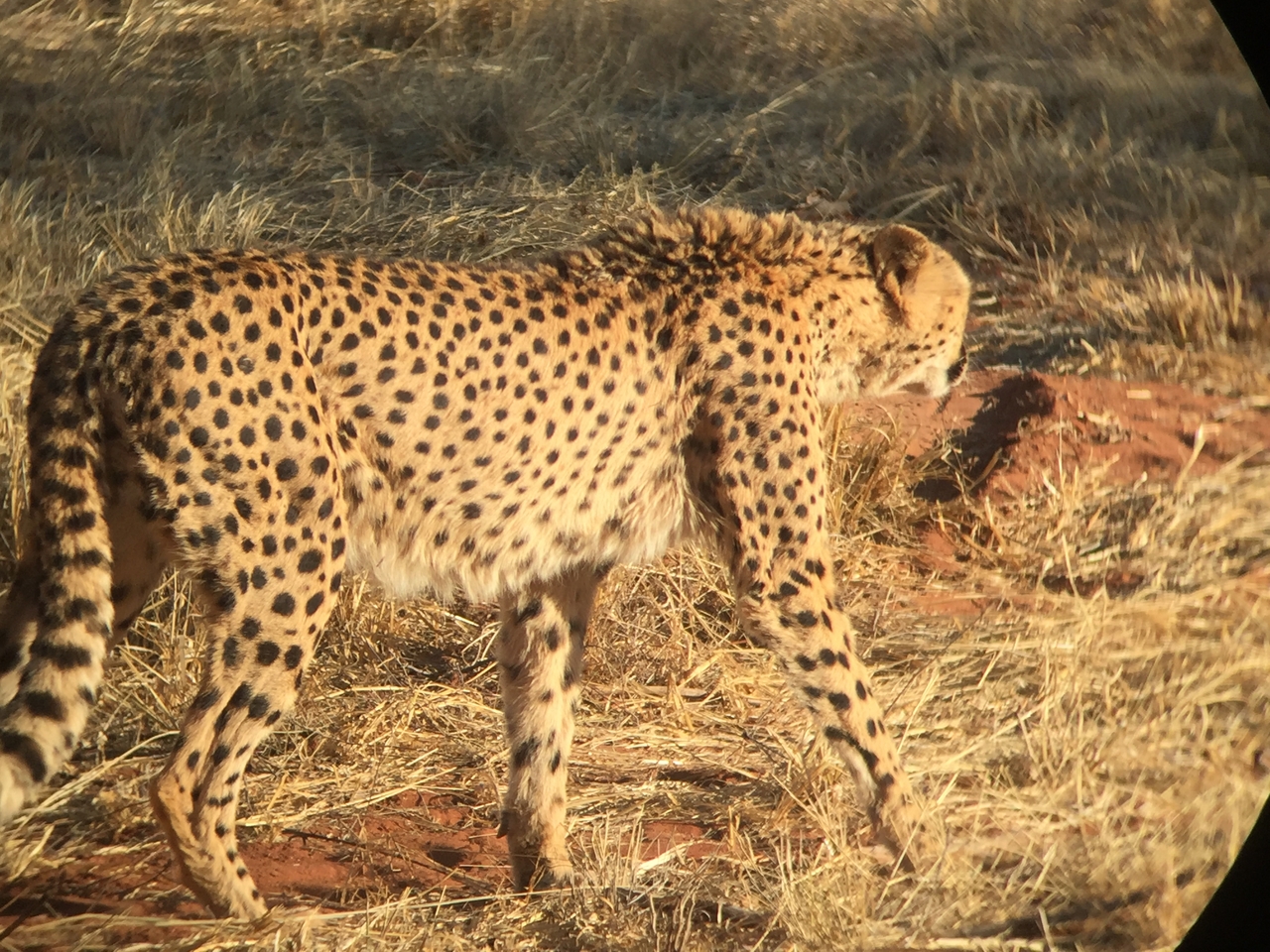 [9235] 2016_06_23_15_48_13_Africa_iPhone_6_IMG_7908_02833.jpg