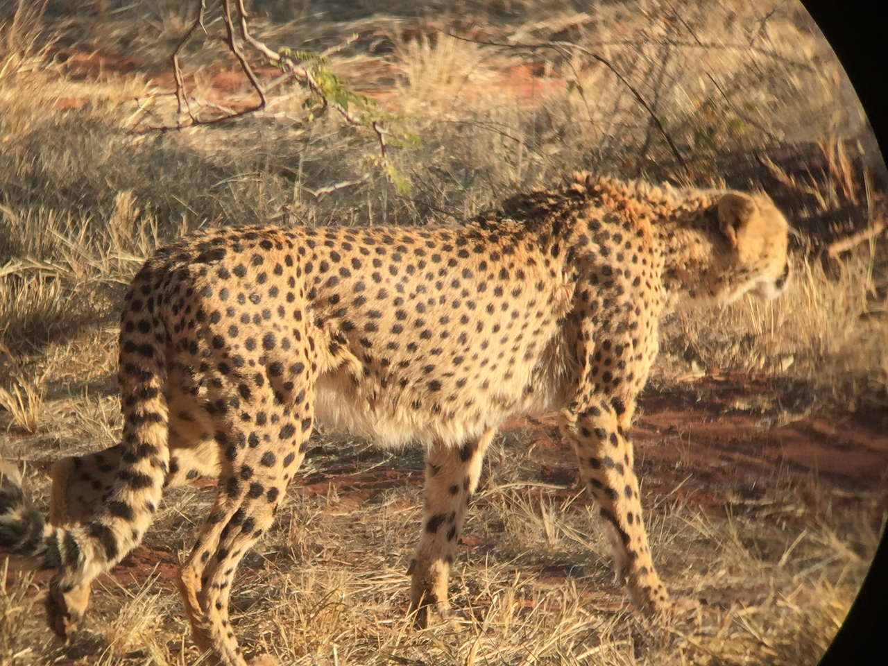 [9237] 2016_06_23_15_48_22_Africa_iPhone_6_IMG_7909_02834.jpg