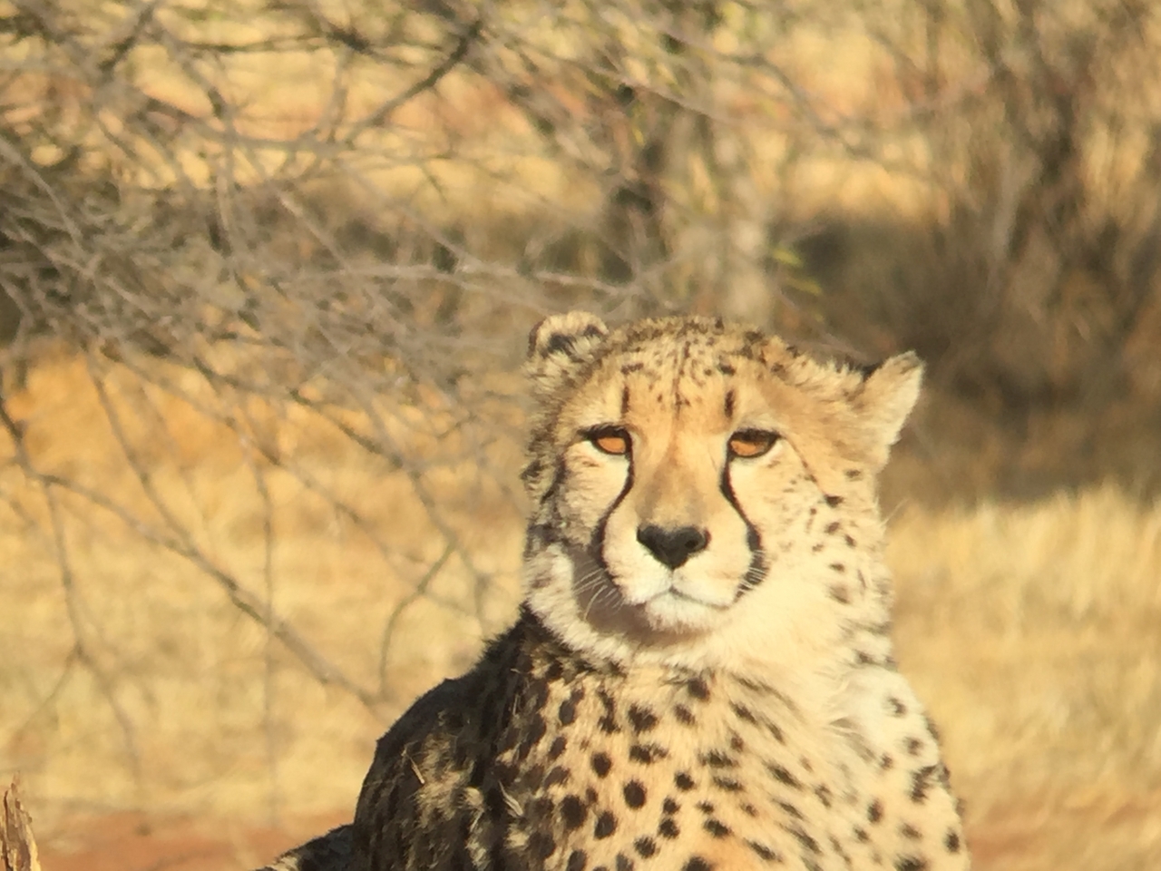 [9265] 2016_06_23_15_53_24_Africa_iPhone_6_IMG_7924_02848.jpg