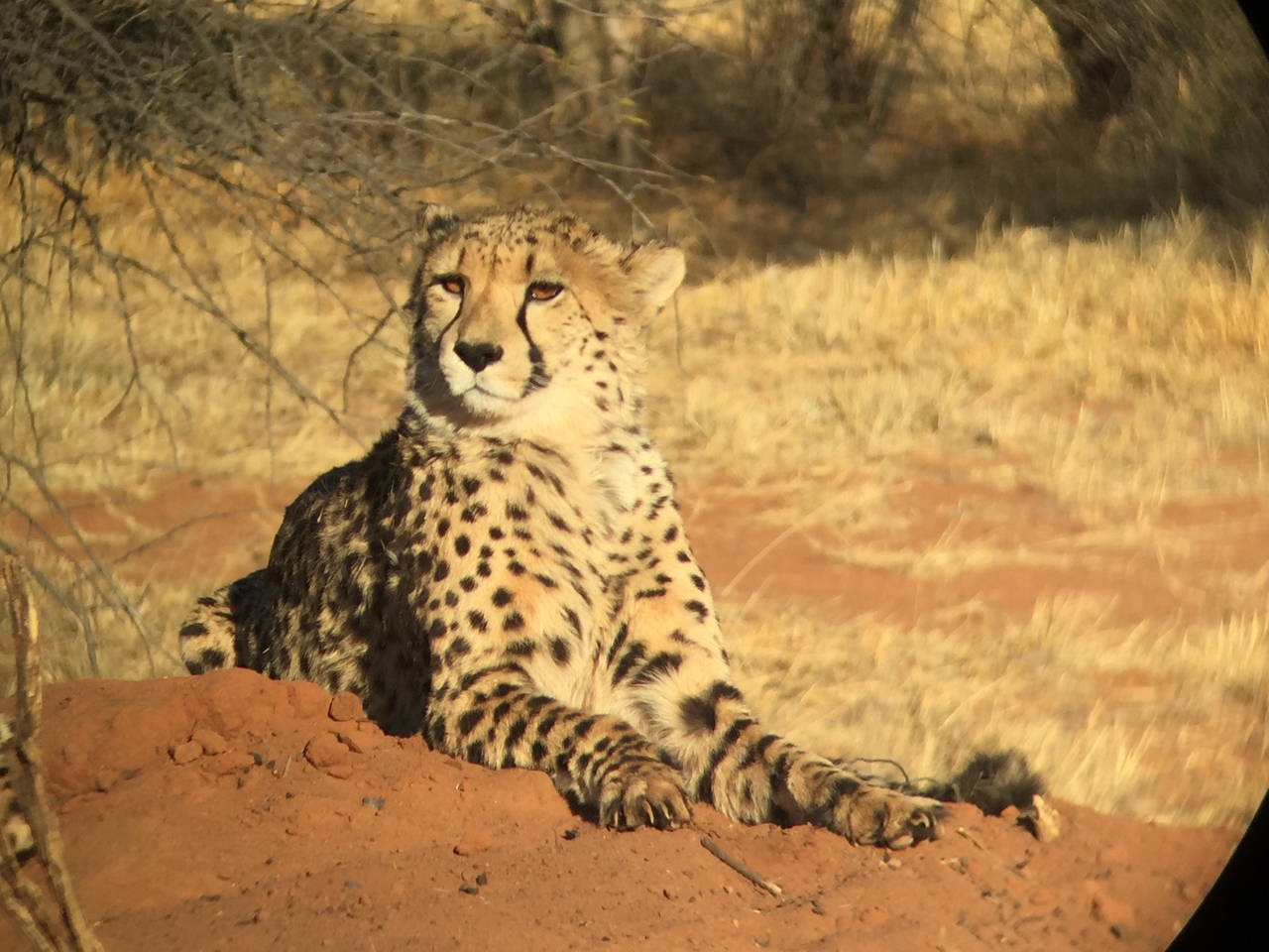 [9275] 2016_06_23_15_57_03_Africa_iPhone_6_IMG_7929_02853.jpg