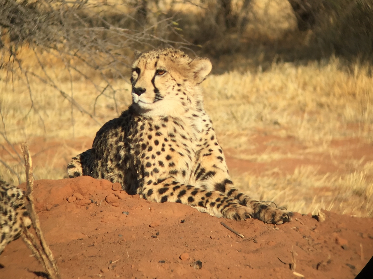 [9277] 2016_06_23_15_58_43_Africa_iPhone_6_IMG_7930_02854.jpg