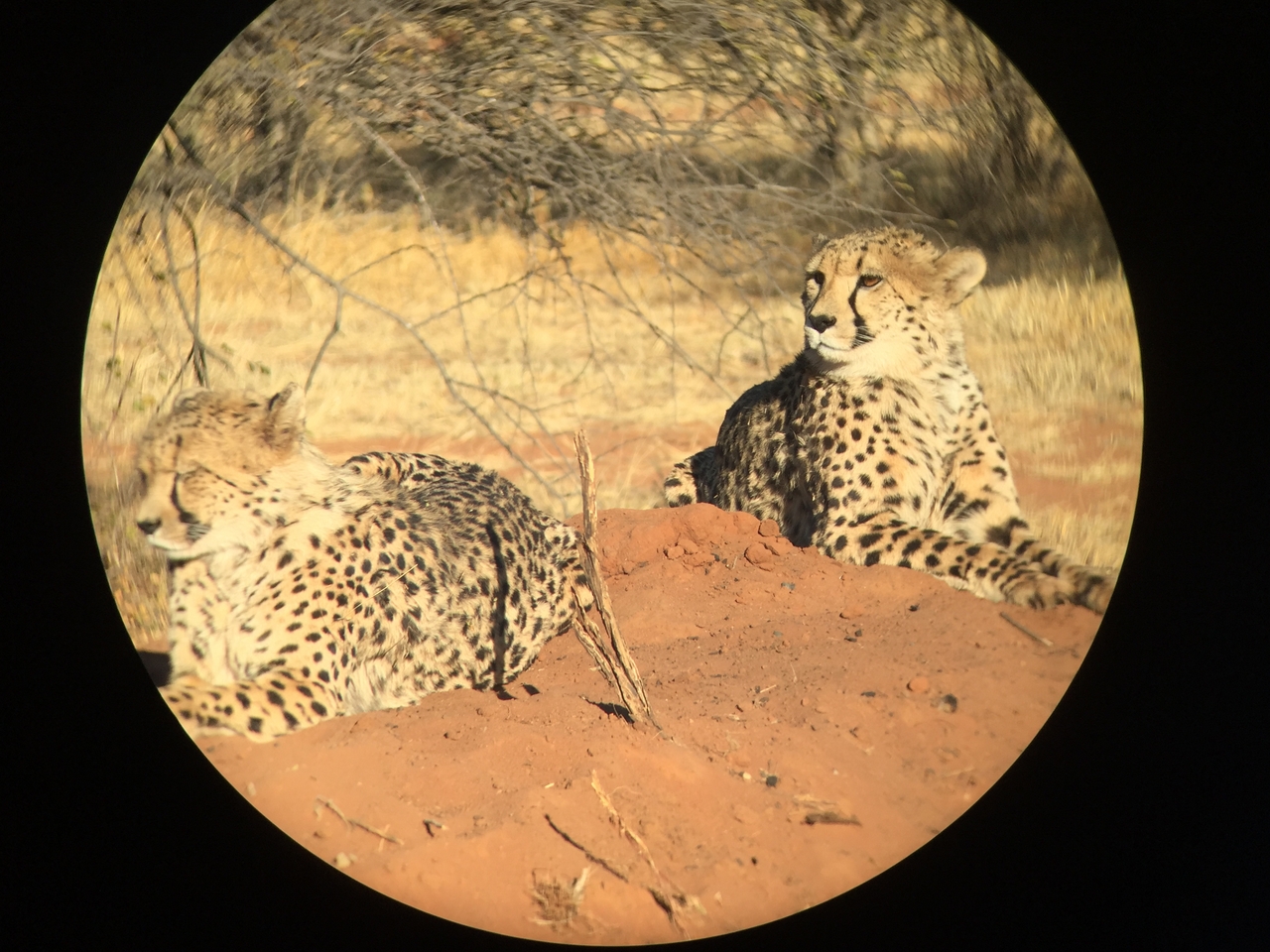 [9279] 2016_06_23_15_58_49_Africa_iPhone_6_IMG_7931_02855.jpg