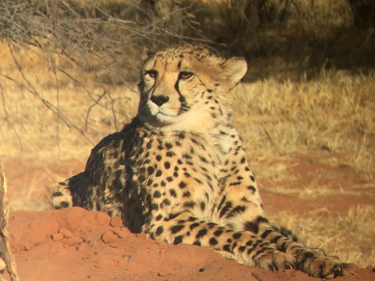 [9281] 2016_06_23_15_59_07_Africa_iPhone_6_IMG_7932_02856.jpg