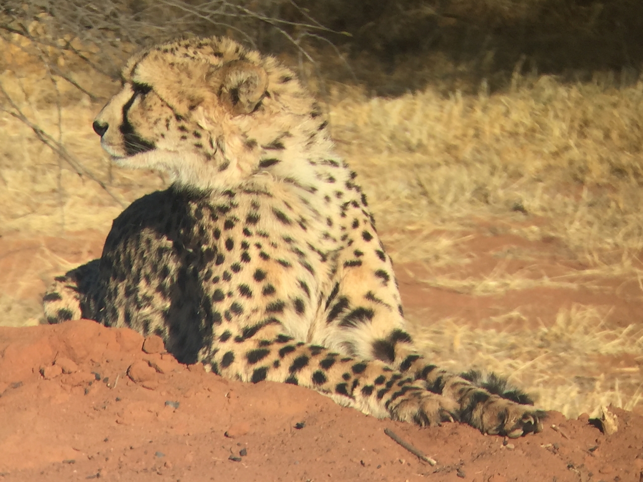 [9283] 2016_06_23_15_59_35_Africa_iPhone_6_IMG_7933_02857.jpg