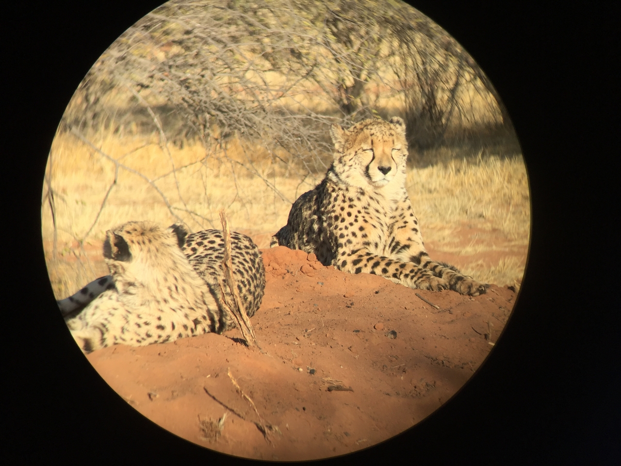 [9286] 2016_06_23_16_06_25_Africa_iPhone_6_IMG_7936_00518.jpg