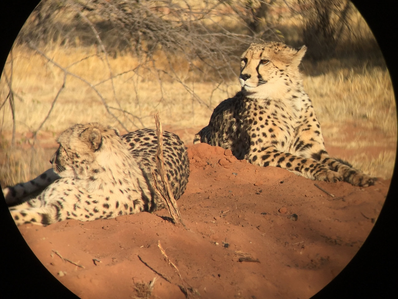 [9291] 2016_06_23_16_07_33_Africa_iPhone_6_IMG_7938_02861.jpg