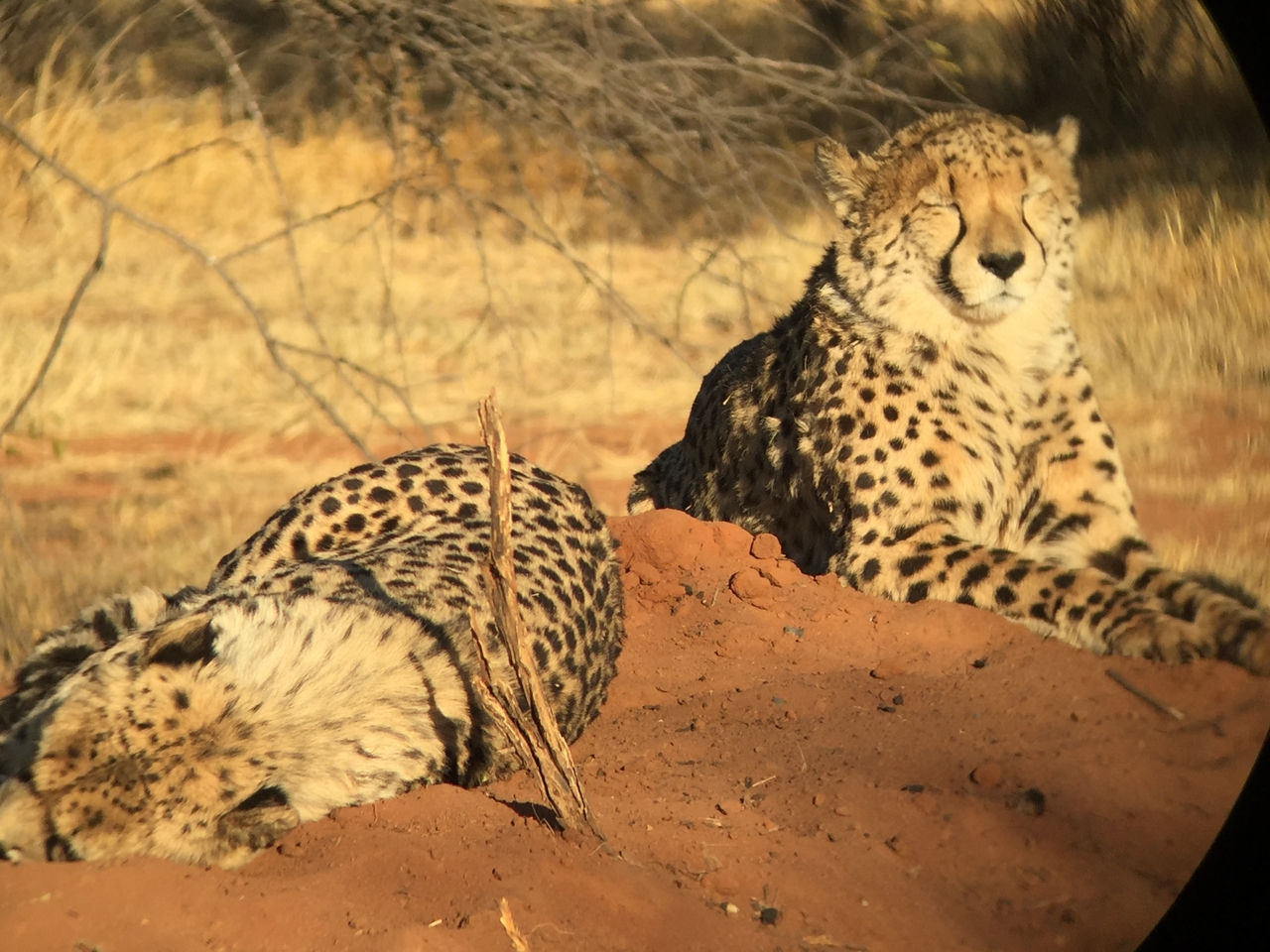 [9294] 2016_06_23_16_09_03_Africa_iPhone_6_IMG_7940_00522.jpg