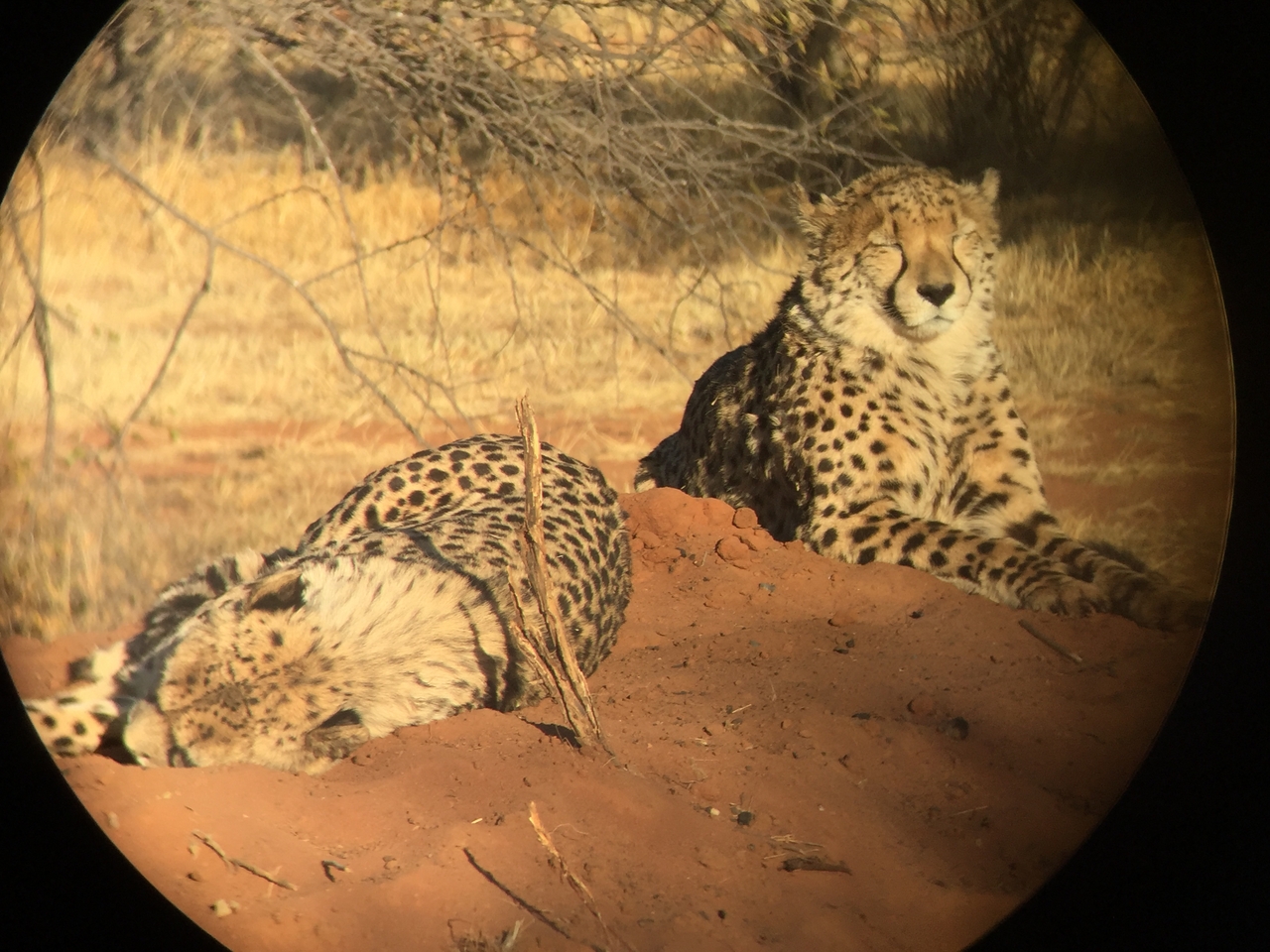 [9296] 2016_06_23_16_09_10_Africa_iPhone_6_IMG_7941_00523.jpg