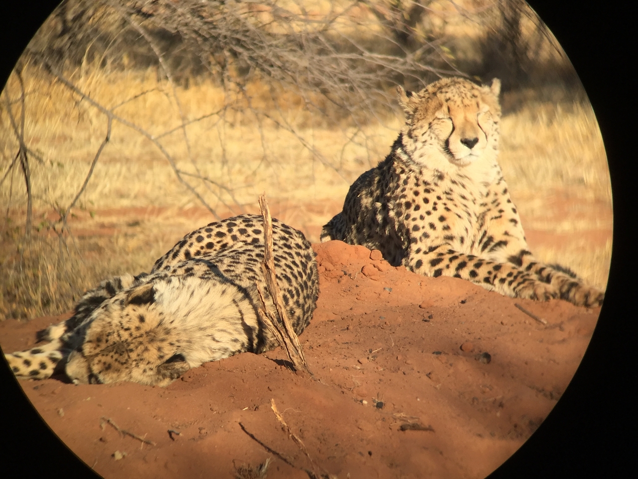 [9300] 2016_06_23_16_09_18_Africa_iPhone_6_IMG_7943_00525.jpg