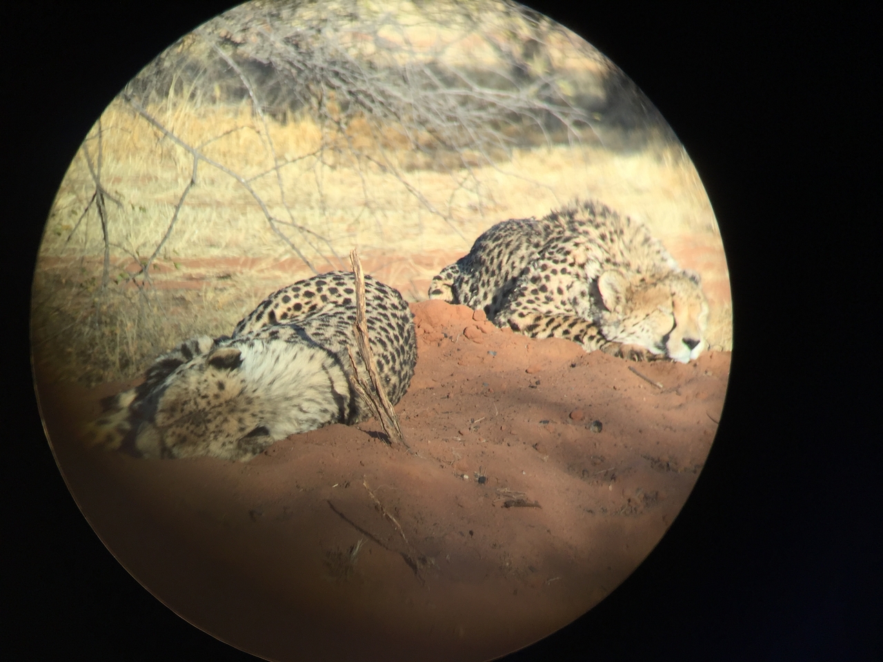 [9302] 2016_06_23_16_11_00_Africa_iPhone_6_IMG_7944_00526.jpg