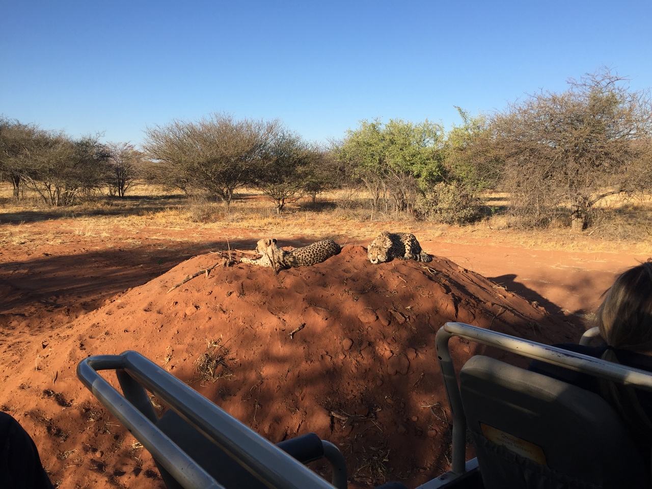 [9317] 2016_06_23_16_13_14_Africa_iPhone_6_IMG_7951_02874.jpg
