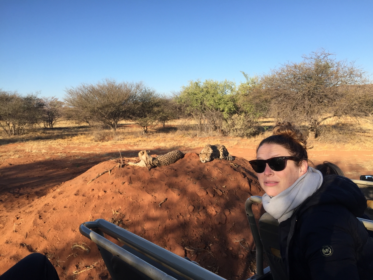 [9324] 2016_06_23_16_13_19_Africa_iPhone_6_IMG_7955_00537.jpg