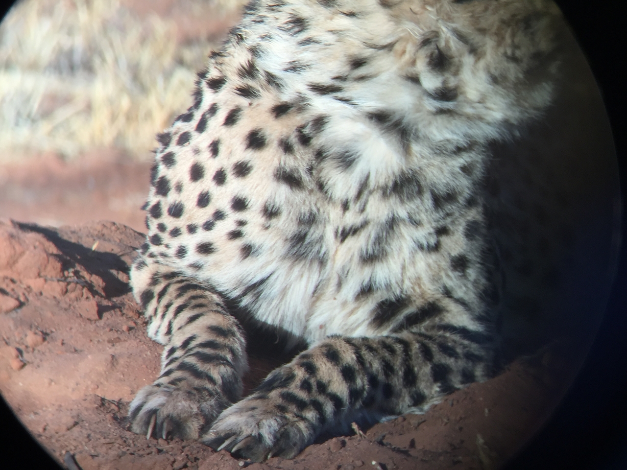 [9329] 2016_06_23_16_13_35_Africa_iPhone_6_IMG_7957_02880.jpg