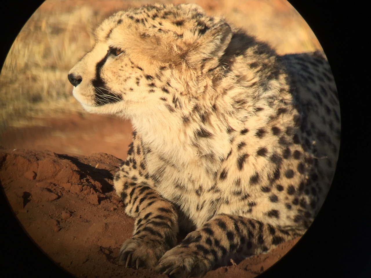 [9352] 2016_06_23_16_14_32_Africa_iPhone_6_IMG_7968_00550.jpg