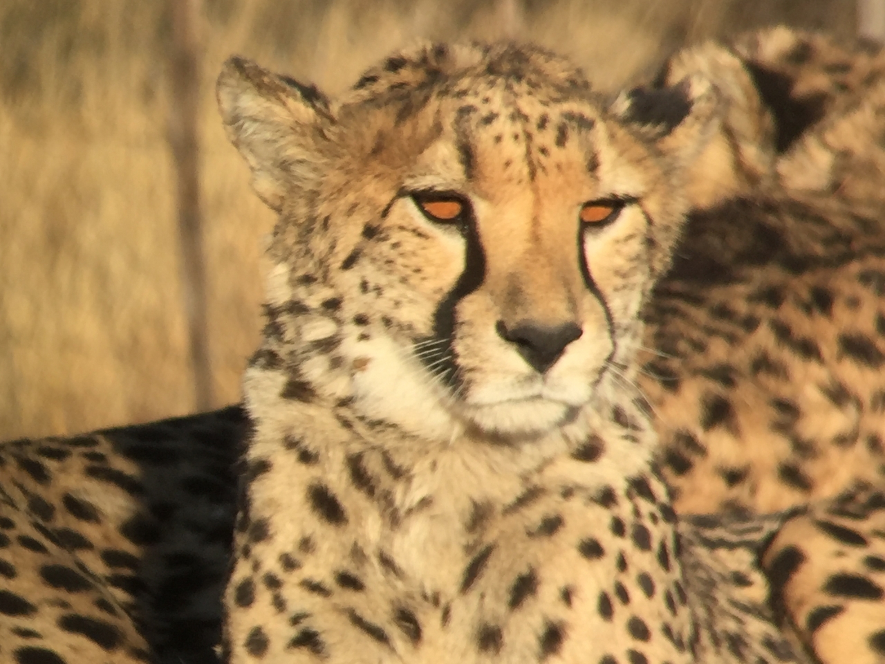 [9381] 2016_06_23_16_20_10_Africa_iPhone_6_IMG_7976_00558.jpg