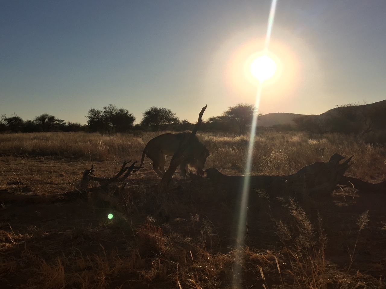 [9400] 2016_06_23_16_39_49_Africa_iPhone_6_IMG_7987_02909.jpg