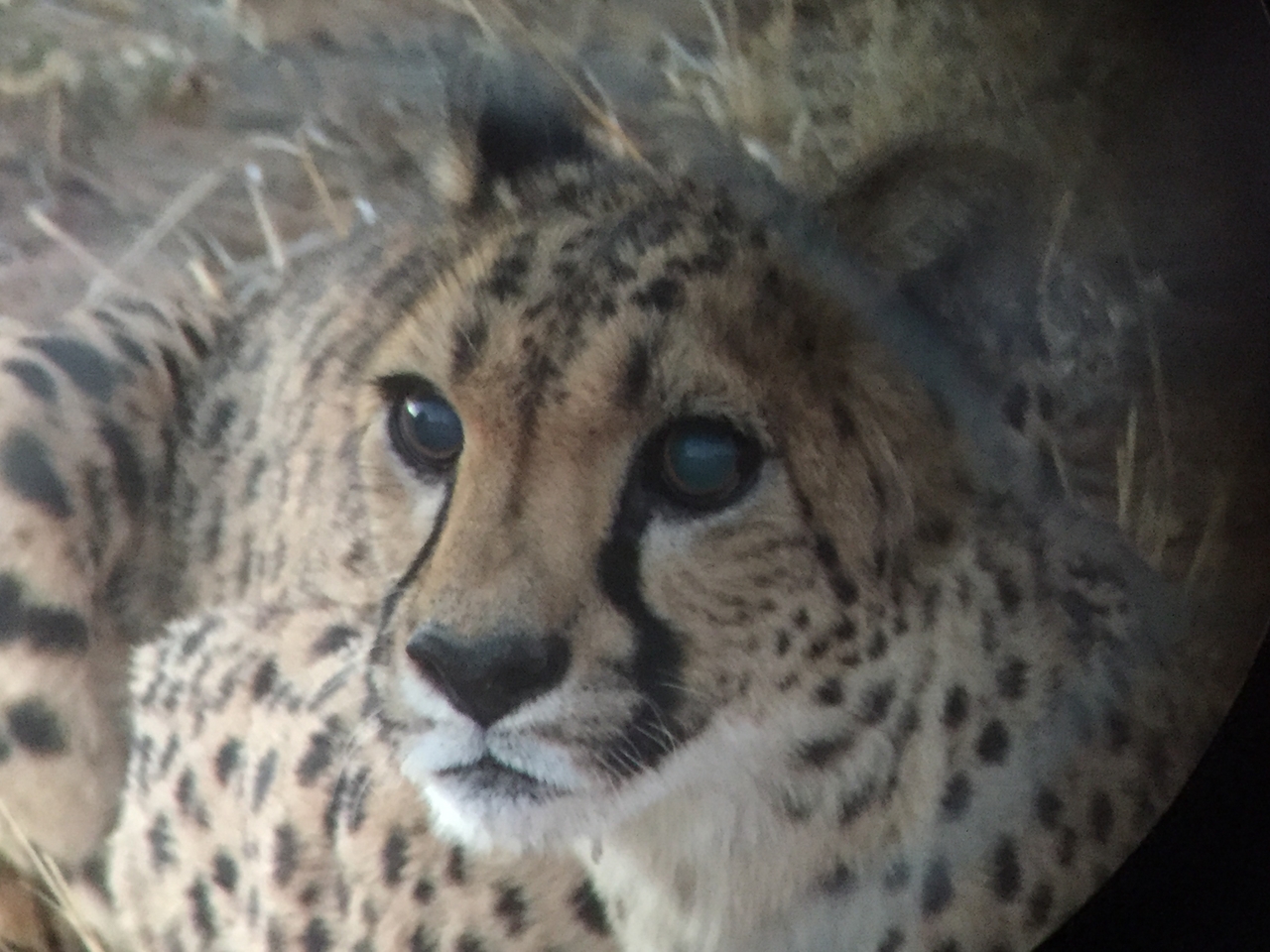 [9559] 2016_06_23_17_29_53_Africa_iPhone_6_IMG_8038_00617.jpg