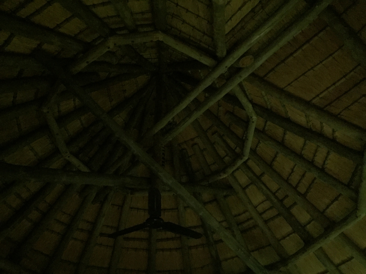 [13700] 2016_06_23_22_50_18_Africa_iPhone_6_IMG_8067_00063.jpg