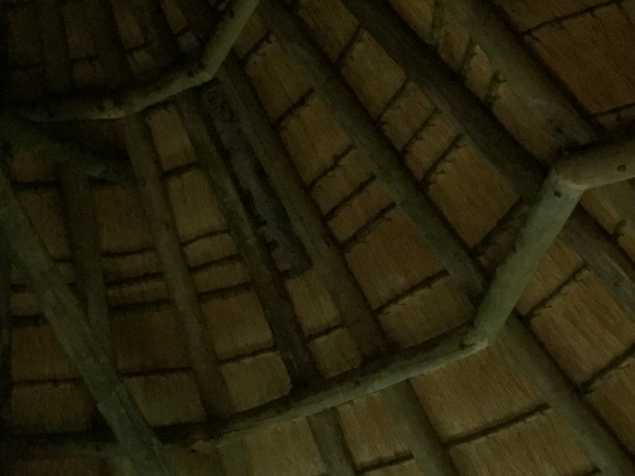 [13713] 2016_06_23_22_51_50_Africa_iPhone_6_IMG_8071_00649.jpg