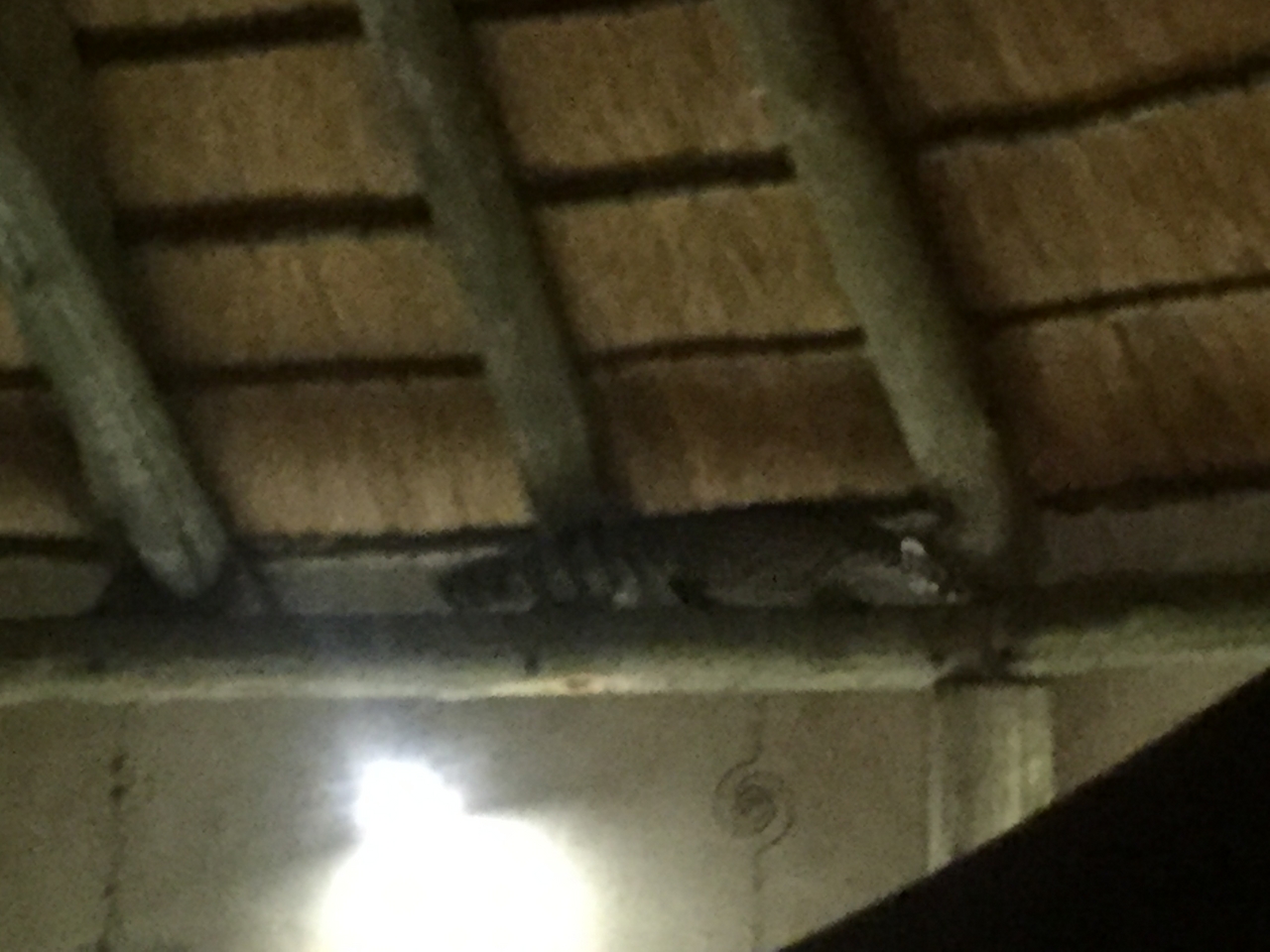 [13717] 2016_06_23_22_52_19_Africa_iPhone_6_IMG_8072_02991.jpg