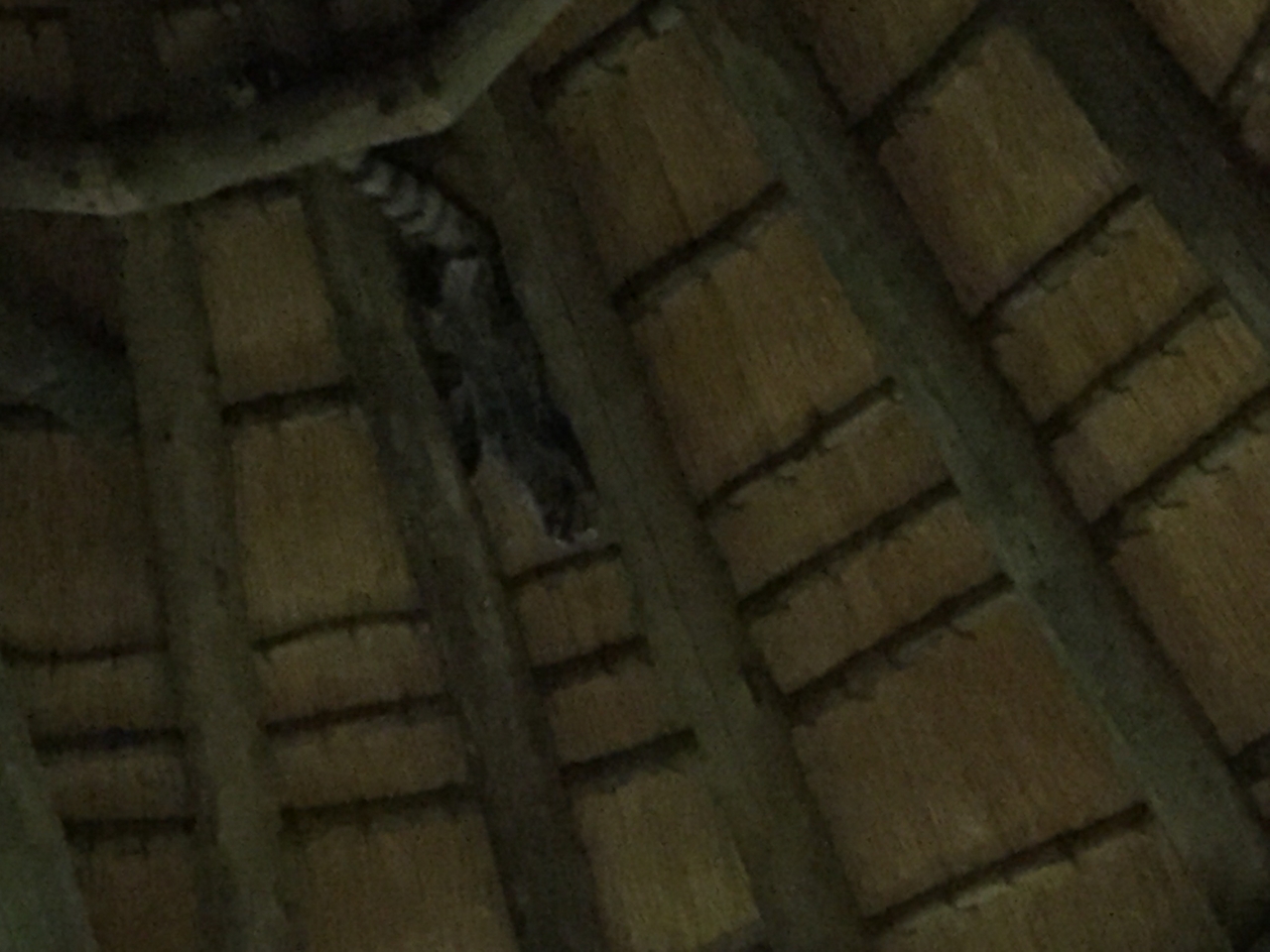 [13723] 2016_06_23_22_53_50_Africa_iPhone_6_IMG_8074_02993.jpg