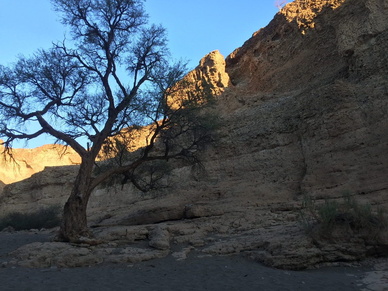 [14194] 2016_06_24_16_45_04_Africa_iPhone_6_IMG_8109_00682.jpg