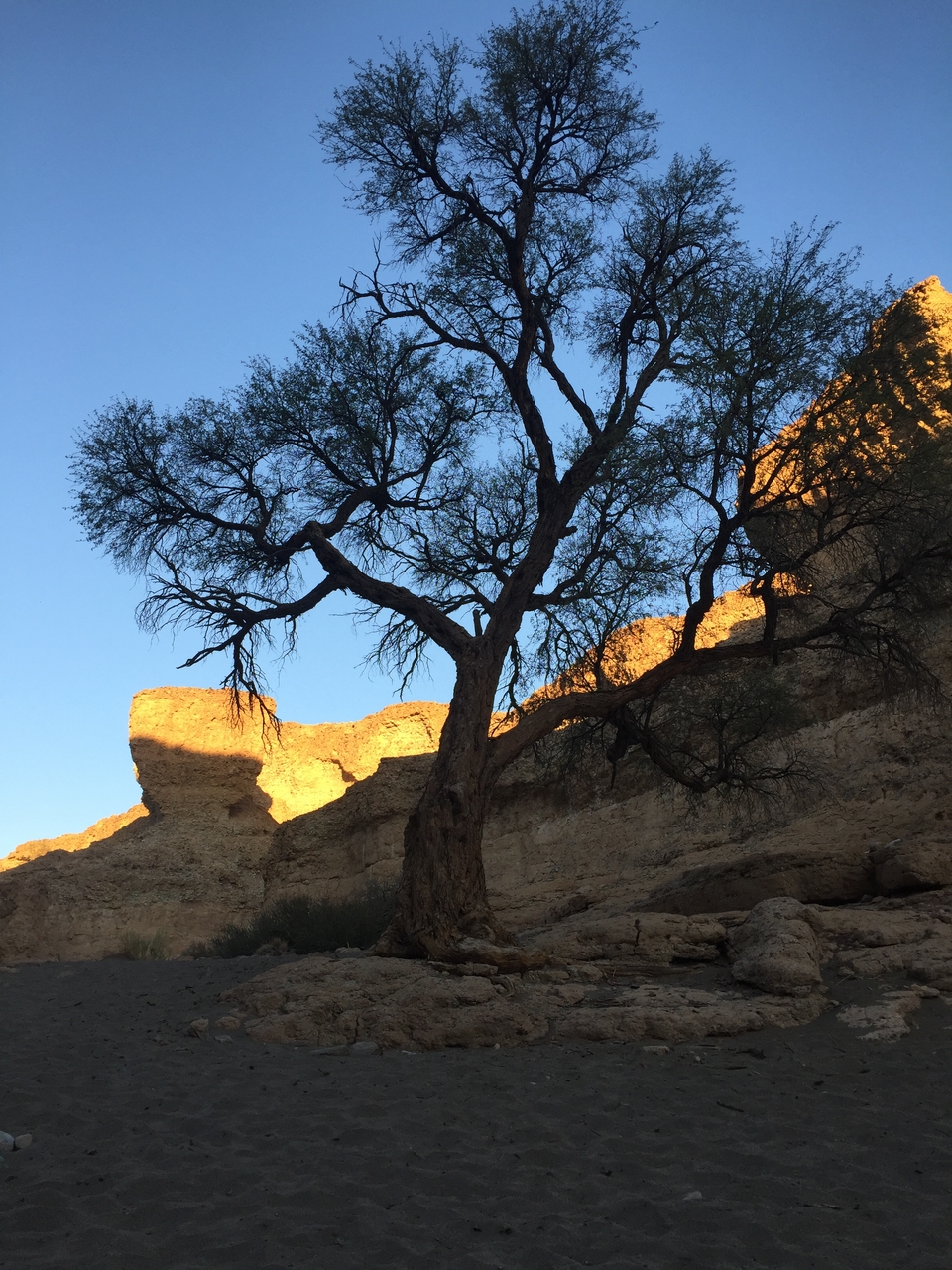 [14216] 2016_06_24_16_47_11_Africa_iPhone_6_IMG_8116_00107.jpg