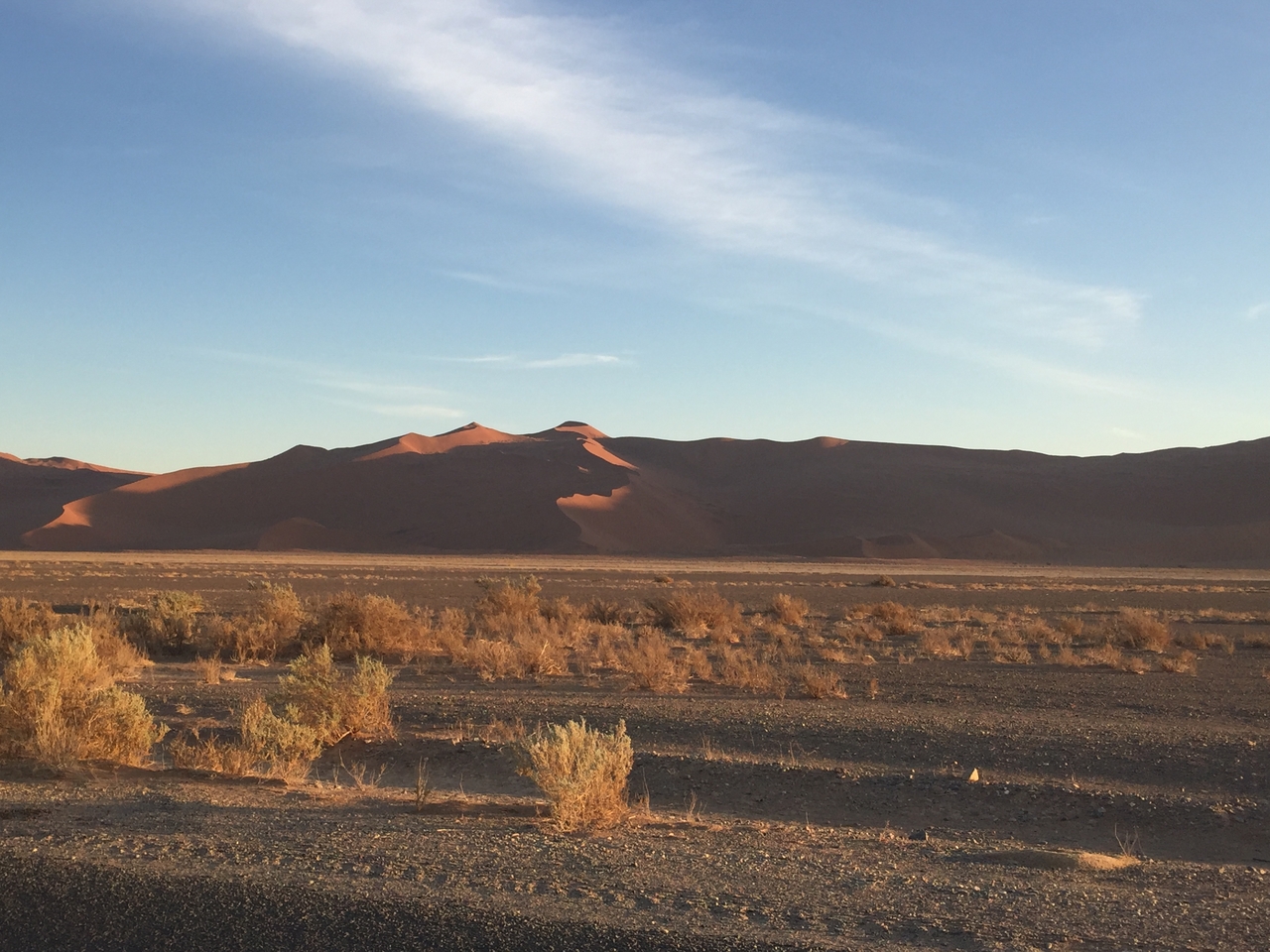 [15449] 2016_06_25_07_08_01_Africa_iPhone_6_IMG_8161_03073.jpg