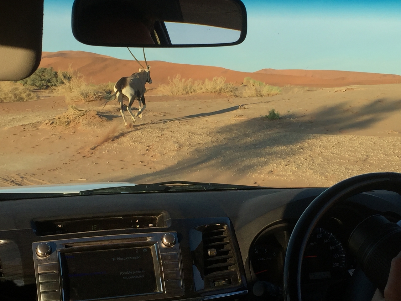 [15516] 2016_06_25_07_29_08_Africa_iPhone_6_IMG_8168_00157.jpg