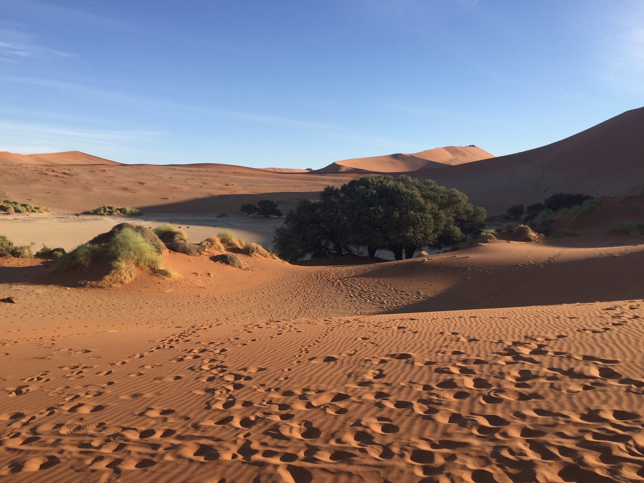 [15587] 2016_06_25_07_50_02_Africa_iPhone_6_IMG_8179_03091.jpg