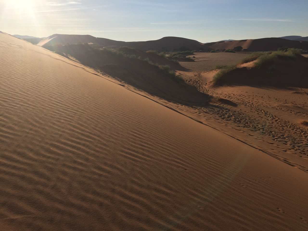 [15593] 2016_06_25_07_50_37_Africa_iPhone_6_IMG_8181_03093.jpg