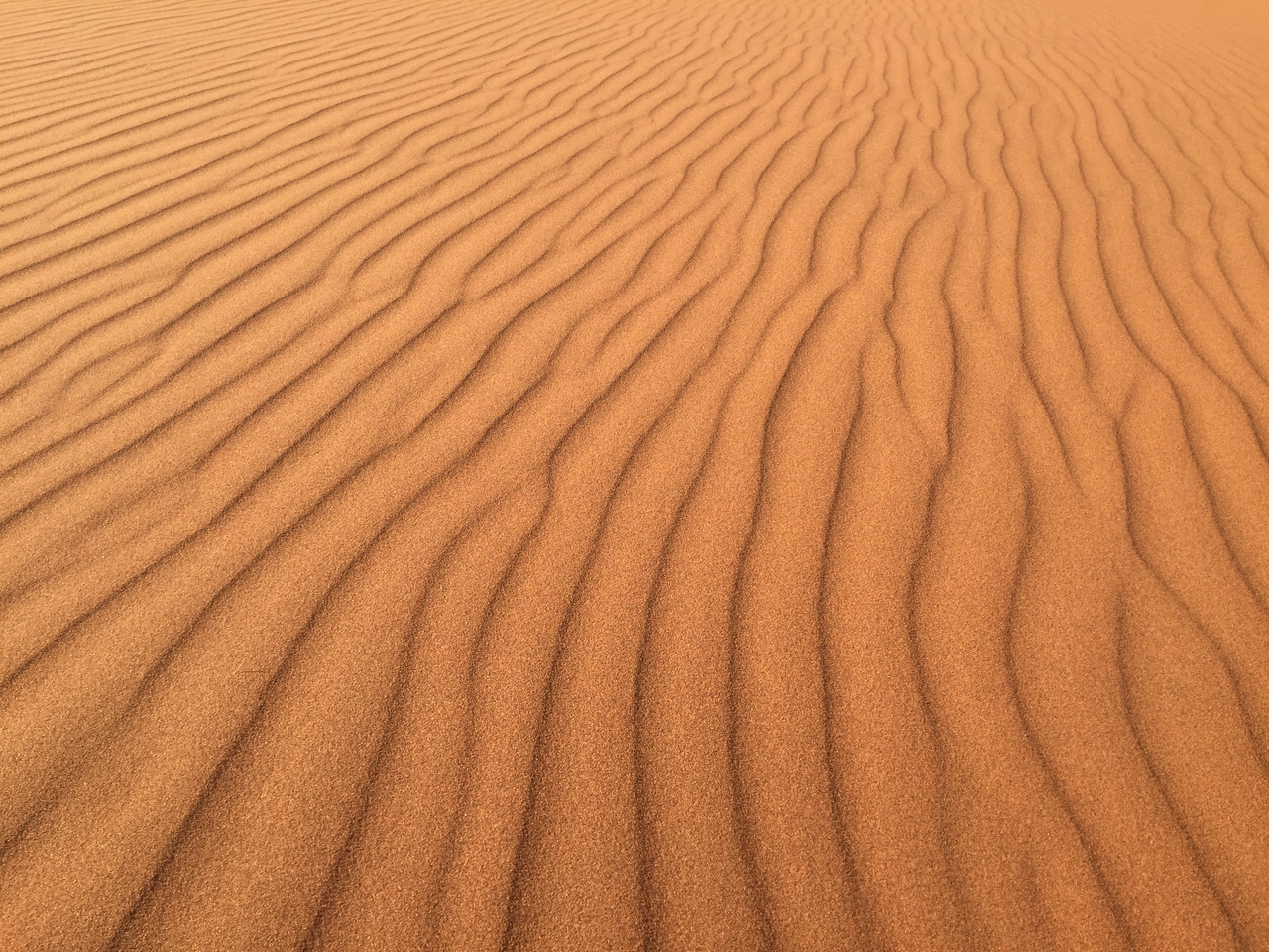 [15633] 2016_06_25_07_58_45_Africa_iPhone_6_IMG_8195_00184.jpg