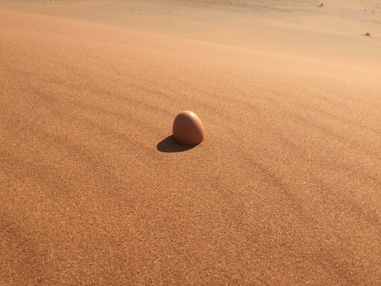 [15692] 2016_06_25_08_24_57_Africa_iPhone_6_IMG_8211_00780.jpg