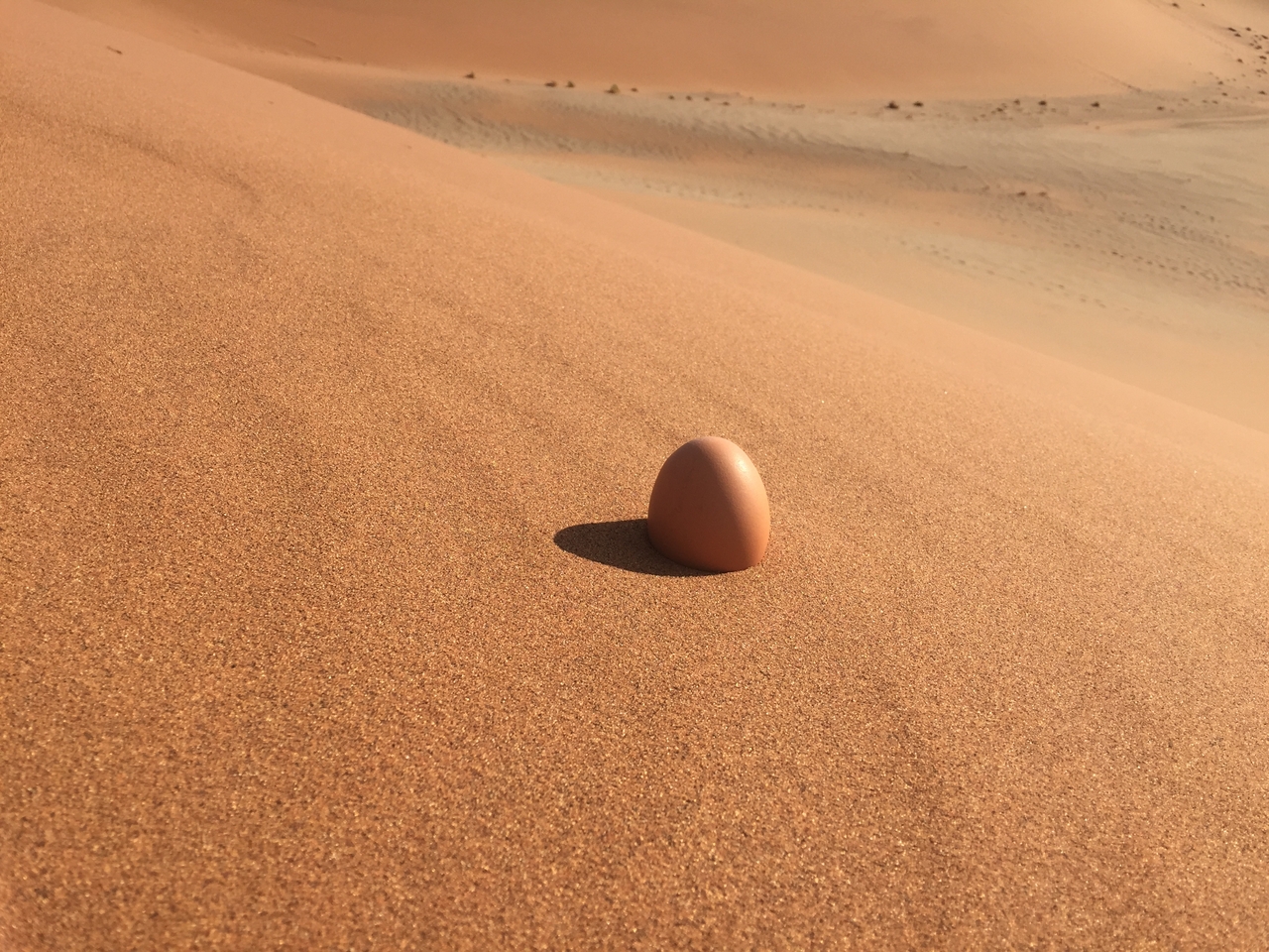 [15695] 2016_06_25_08_25_06_Africa_iPhone_6_IMG_8212_00781.jpg