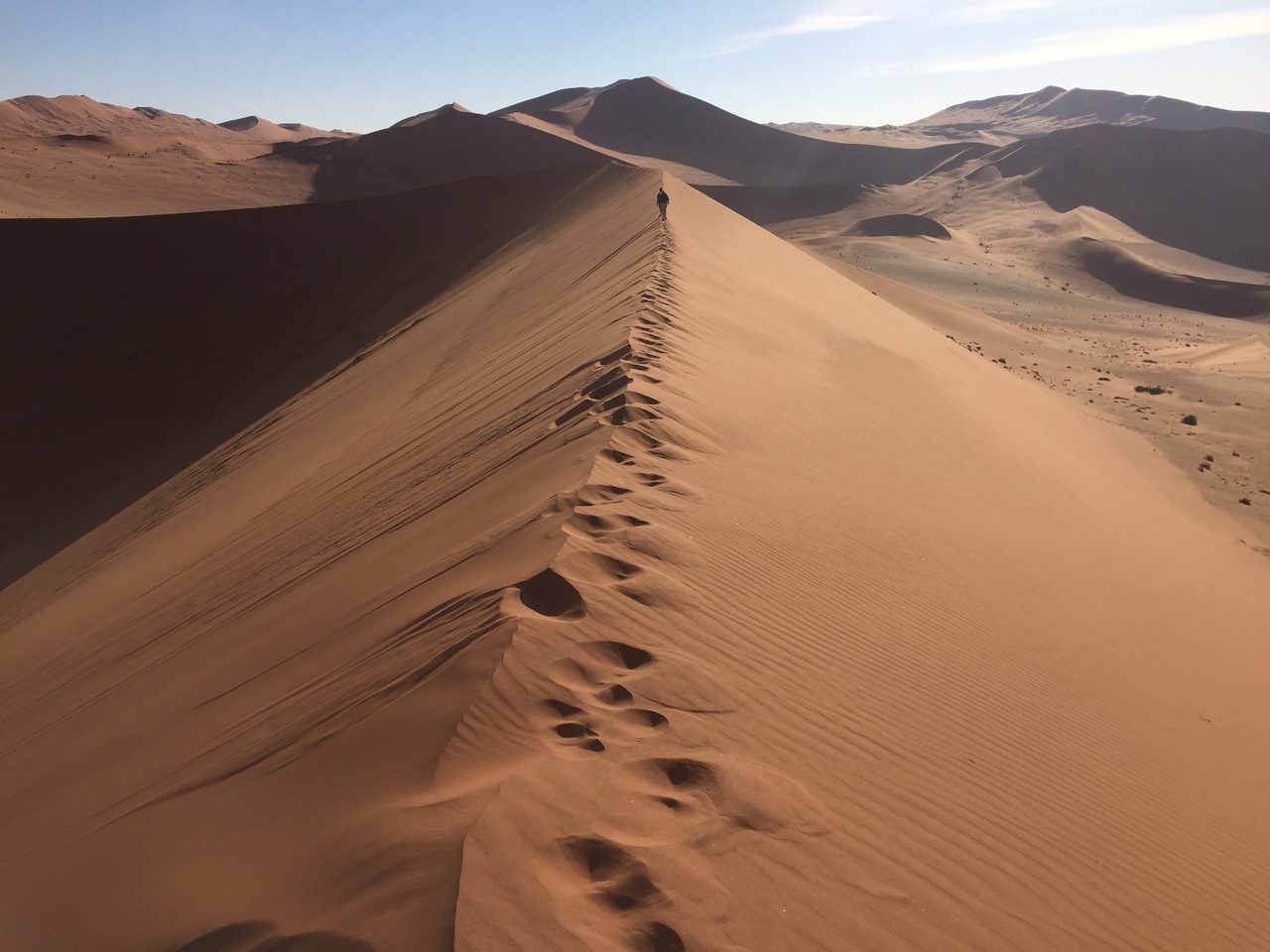 [15704] 2016_06_25_08_28_10_Africa_iPhone_6_IMG_8215_00784.jpg